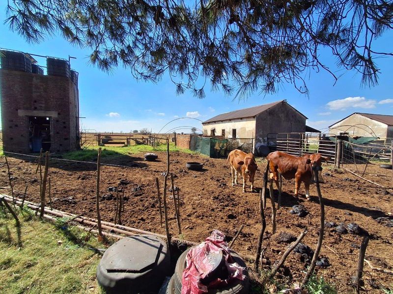 Centrally Located Farm with Direct Tar Road Access - Photo 2