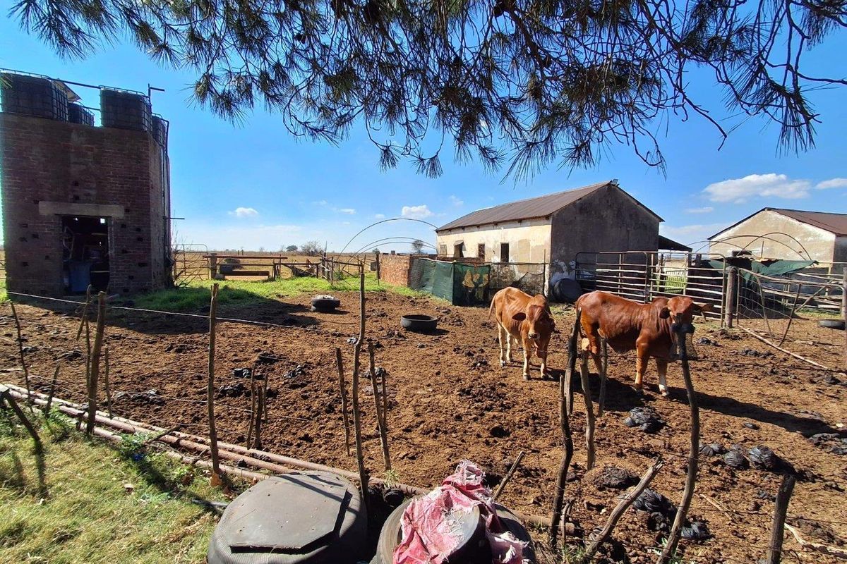 Centrally Located Farm with Direct Tar Road Access - Photo 2