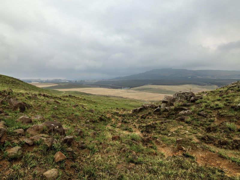 475Ha MULTI-USE FARM IN DONNYBROOK - Photo 3