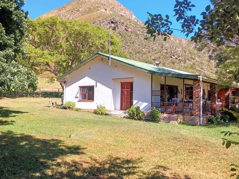 Once-in-a-Lifetime Opportunity: Own a Piece of Kouga Wilderness - Photo 2