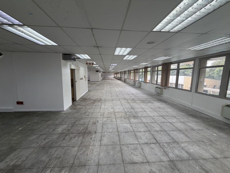 Expansive open-plan industrial office space featuring suspended ceilings, recessed lighting, and large windows providing ample natural light.