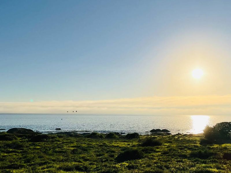 Ocean View Plot, Steenbergs Cove, St Helena Bay - Photo 1