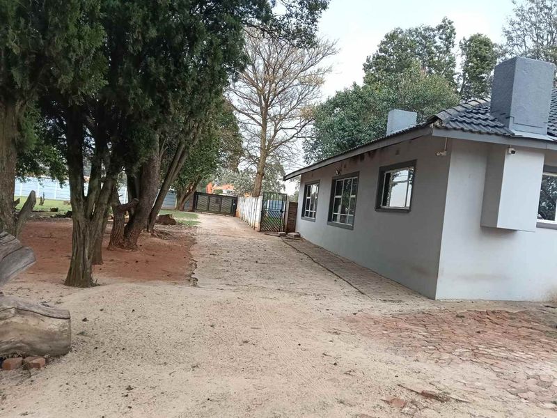 HUGE 7,498 ha PLOT FOR SALE IN LILYVALE, BENONI - WITH 2 HOUSES - Photo 5