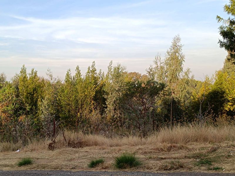A view of a vacant residential plot featuring established trees and natural vegetation, offering a peaceful and private setting for future development.