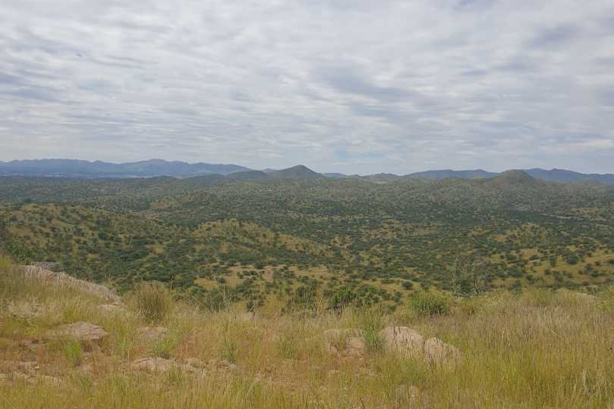 VACANT LAND FOR SALE 91HA - COMMERCIAL - Photo 3