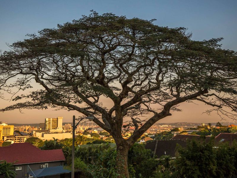 Modern Townhouse - Photo 4