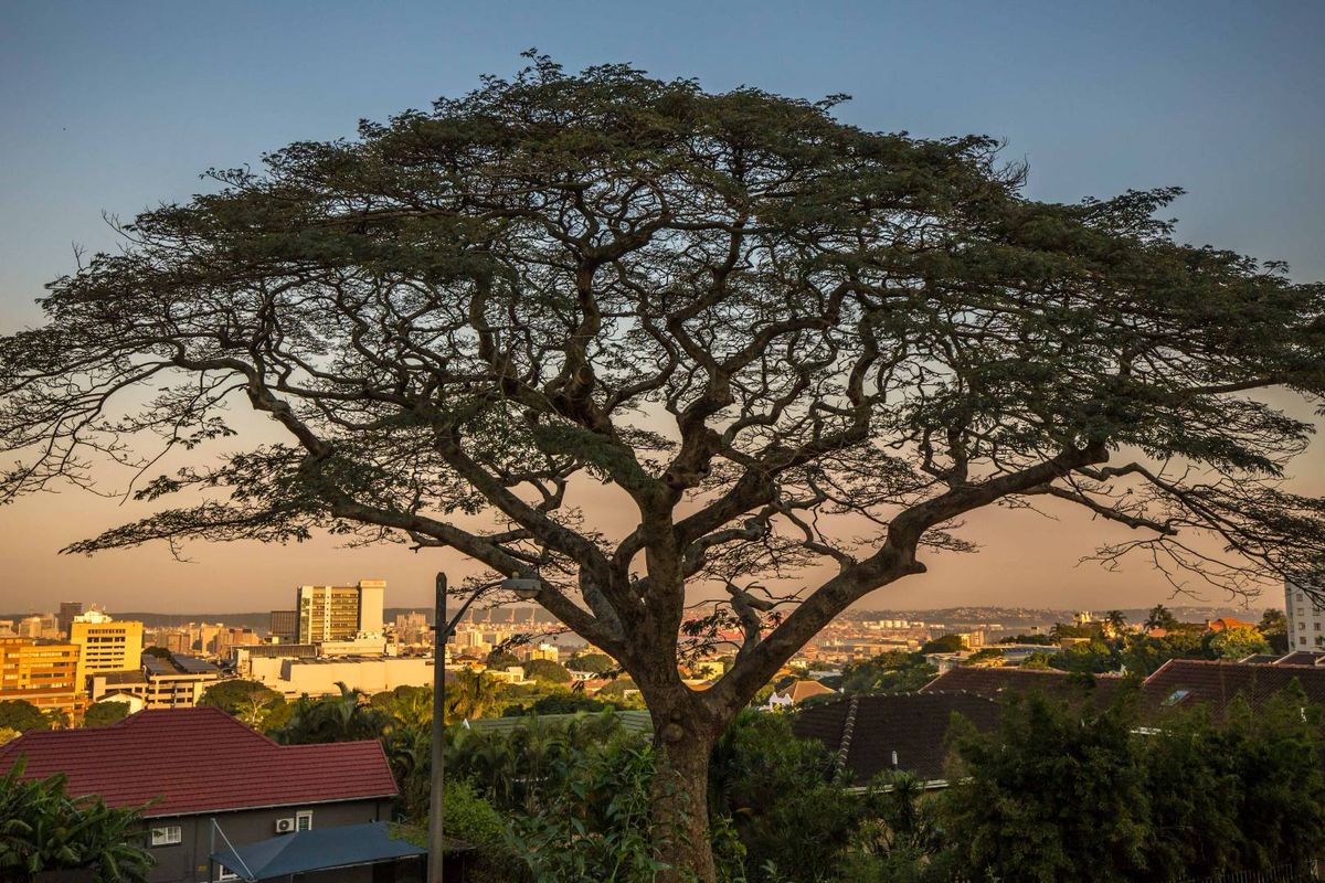 Modern Townhouse - Photo 4