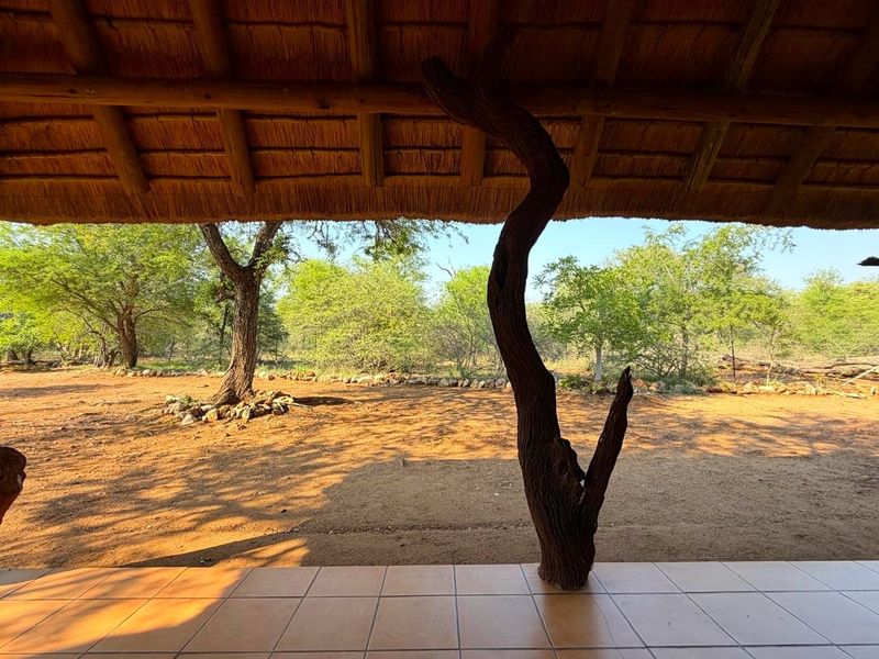 Exclusive to Century 21 Wildlife Properties, Tranquil Bush Home in Ndlovumzi Nature Reserve - Photo 5