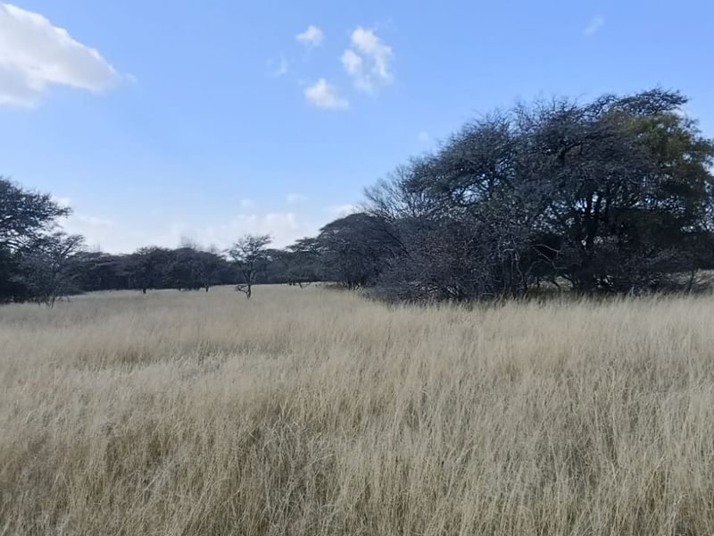 DEVELOPED SMALL GAME/SHEEP AND CATTLE FARM. CHALETS/REASTAURANT - Photo 7