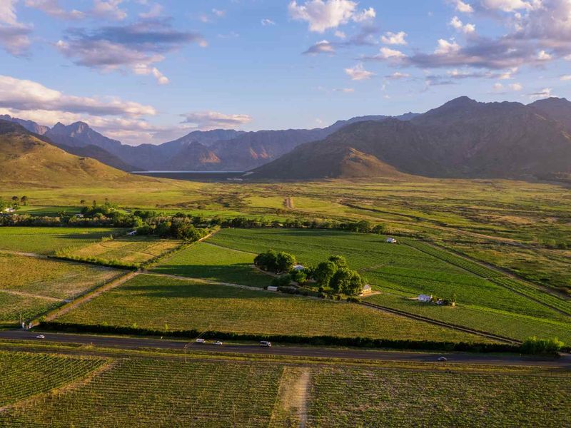 An expansive aerial view of agricultural land featuring established vineyards, open fields, and scenic mountain vistas in the background.