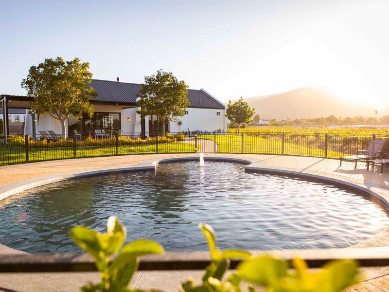 Brand New Contemporary Turnkey Home in Paarl Valleij Lifestyle Estate & Farm - Photo 7