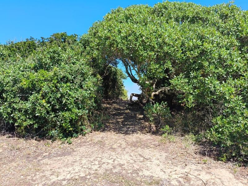 Vacant Stand For Sale in Grootrug Farm, Gouritsmond - Photo 9