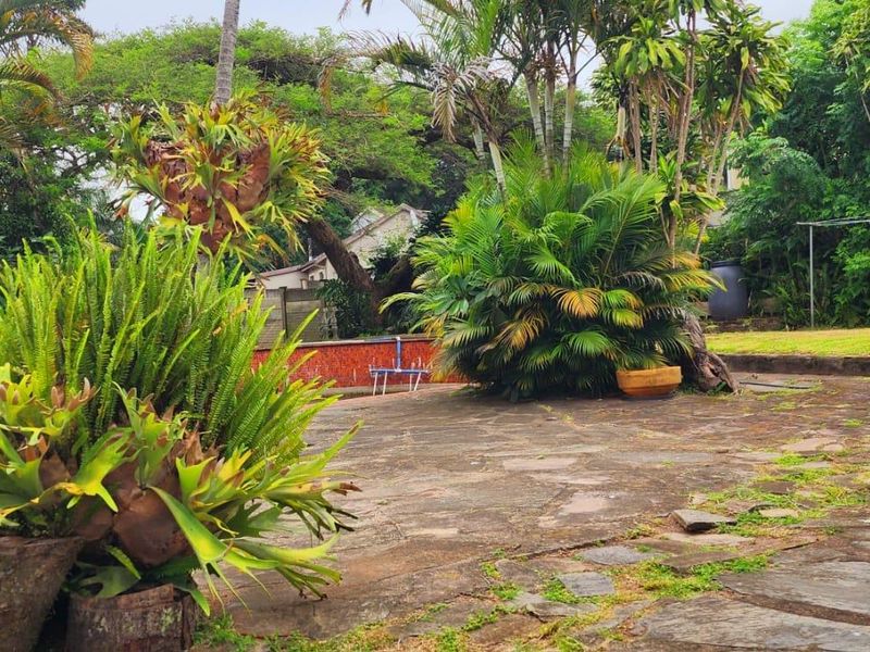 Fixer-Upper with Endless Potential - Photo 8