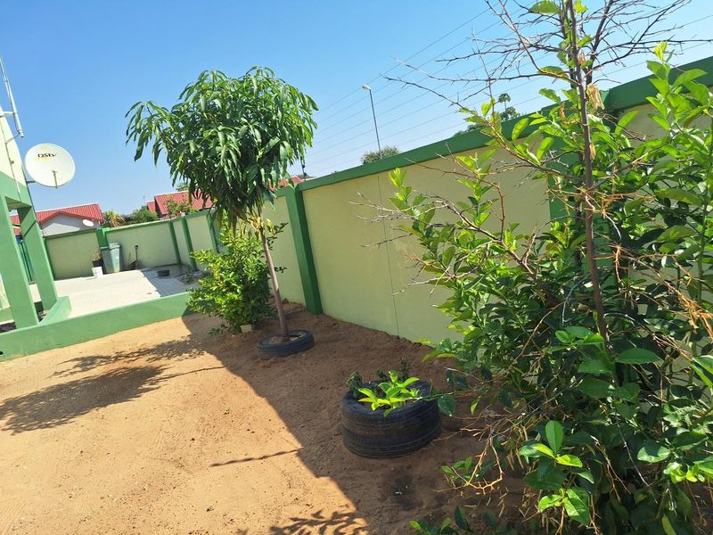 A side garden area featuring a perimeter wall, sandy ground, and established trees.