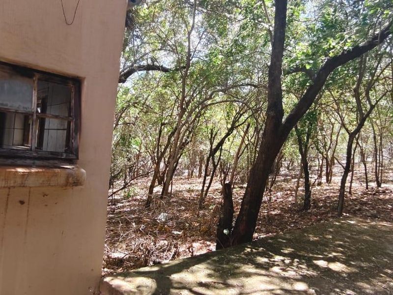 "DIY Enthusiasts: Rebuild in a Serene Greenbelt Setting!" - Photo 10