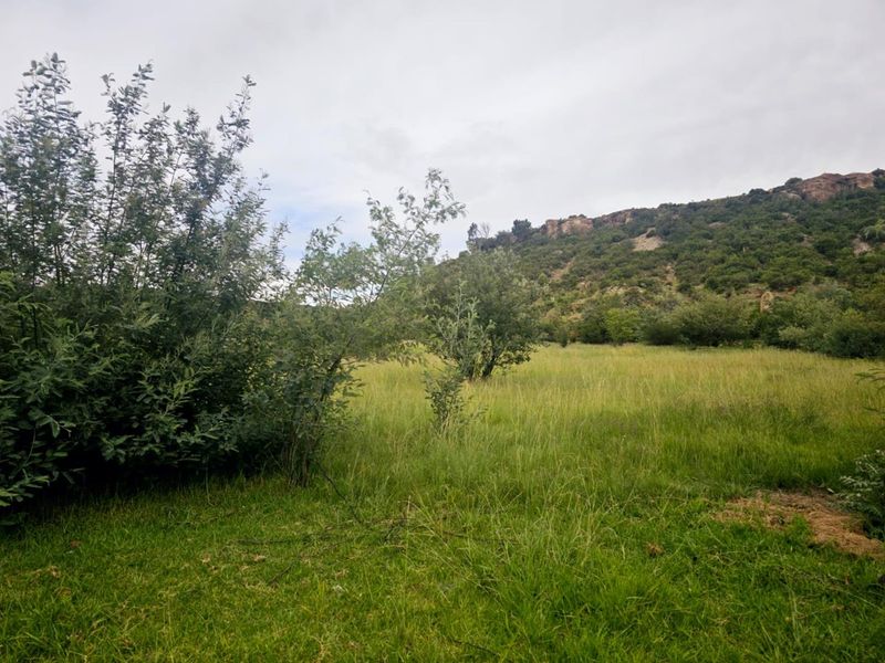 **Build Your Dream Home on this Stunning Vacant Land** - Photo 5