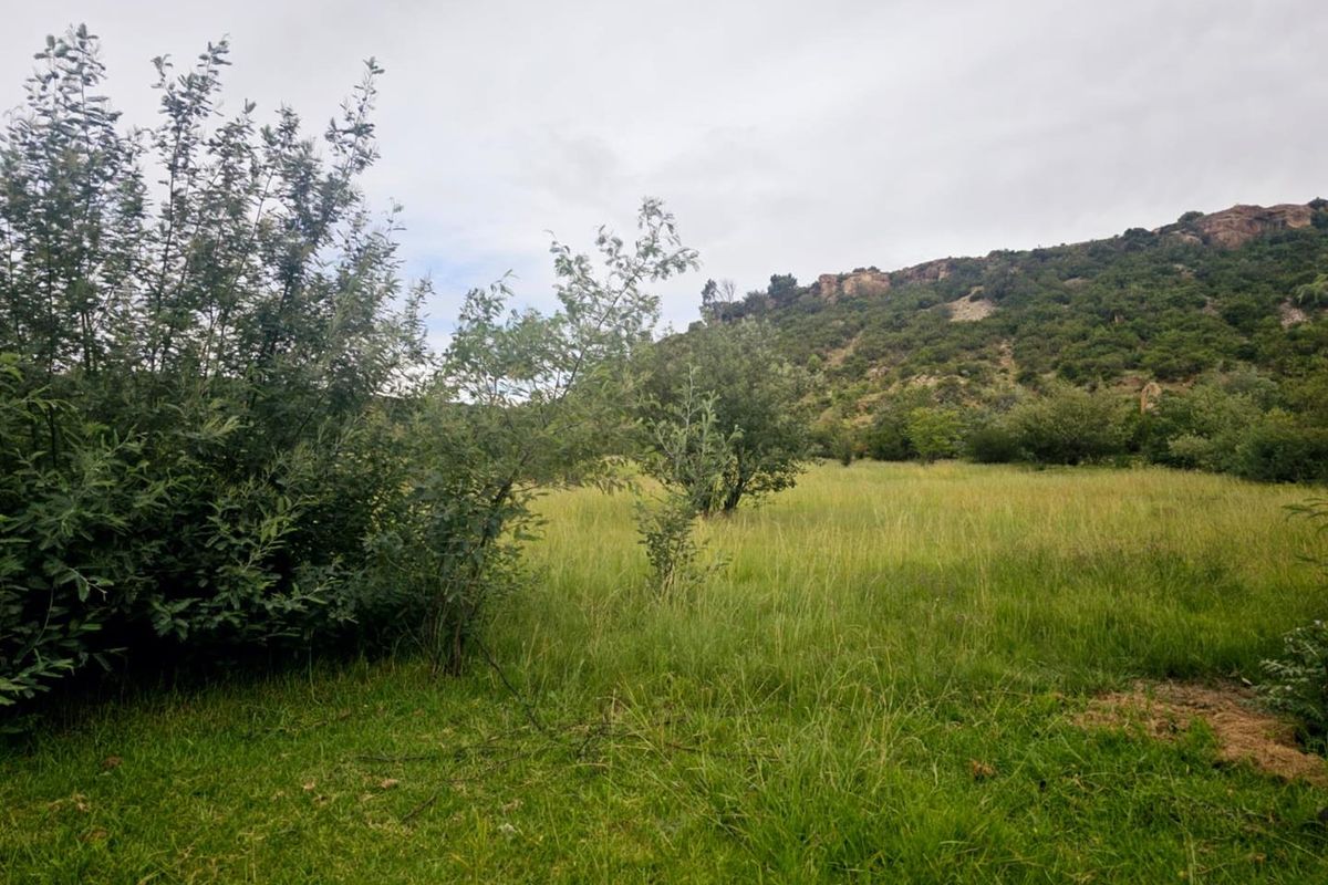 **Build Your Dream Home on this Stunning Vacant Land** - Photo 5