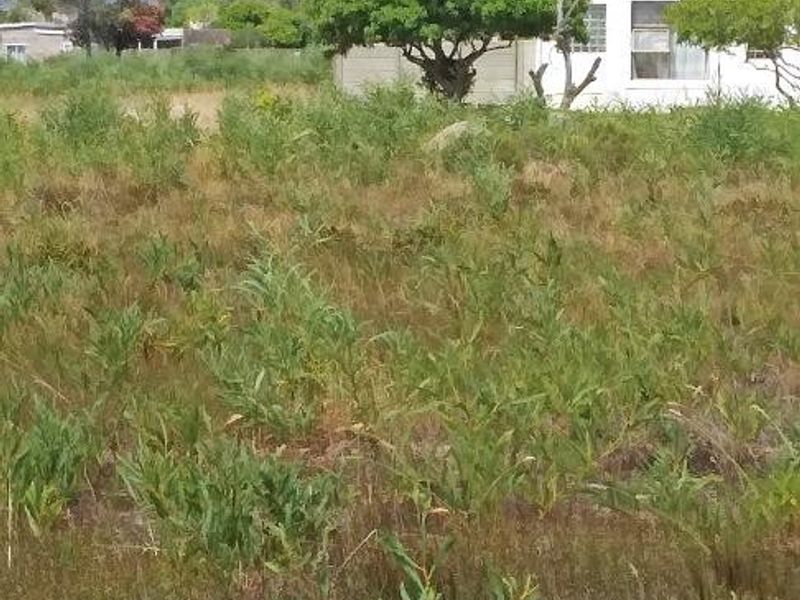 A Haven to Hold - Photo 6