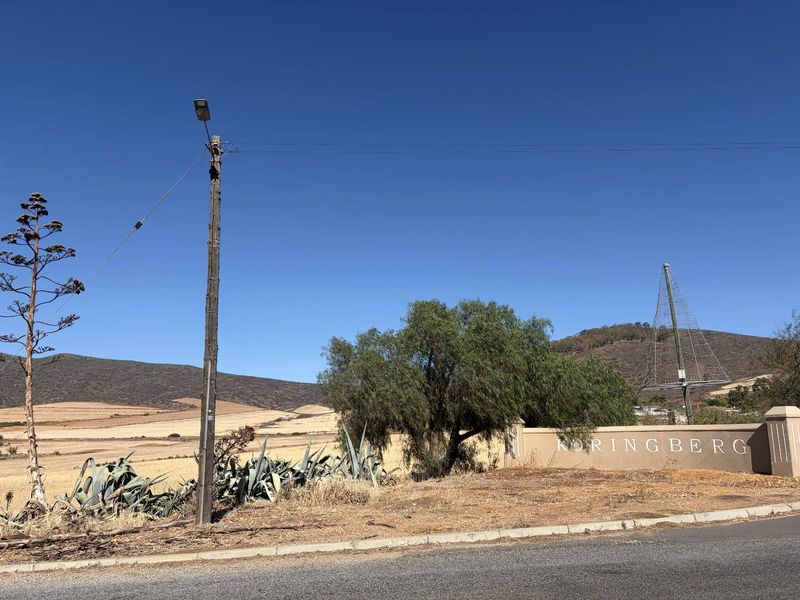 Prime Commercial Opportunity in the Heart of Koringberg - Photo 2