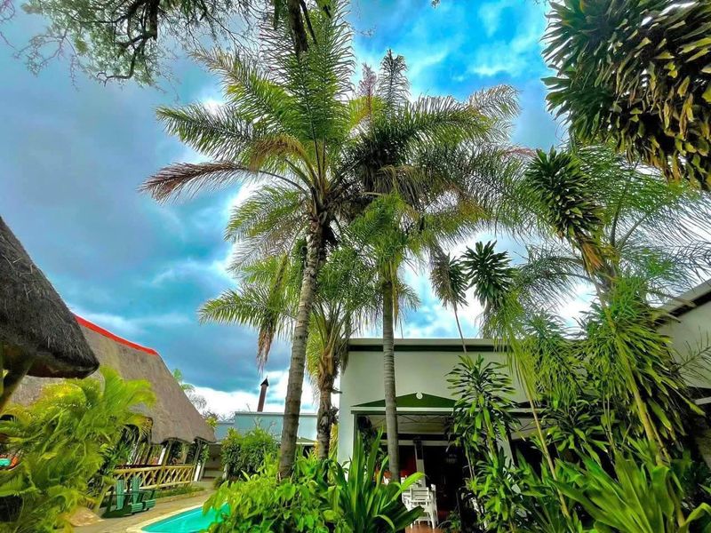 A lush outdoor pool area featuring a swimming pool, mature palm trees, and a traditional thatched roof structure in a lodge setting.