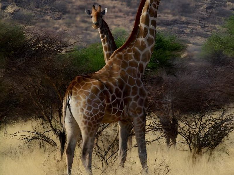 Namibia's Hidden Gem: Unveiling an Exclusive Farm Paradise - Photo 5