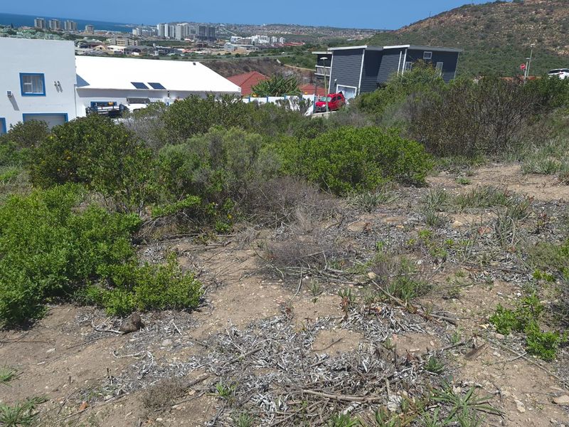 Spacious Vacant Stand in Prime Location – 973m2  : Island View, Mossel bay - Photo 6