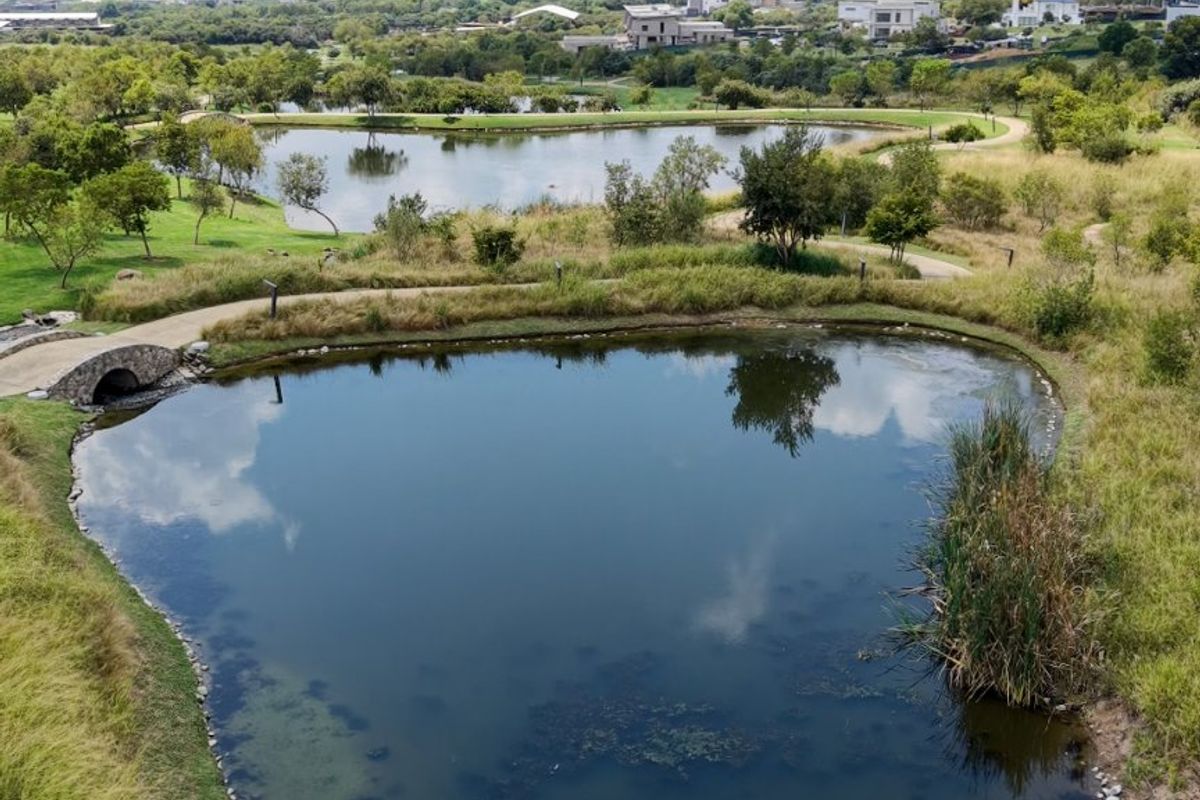 An aerial view of the residential estate featuring landscaped ponds, a stone bridge, and walking paths set within a natural green environment.