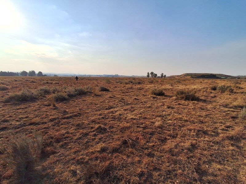 Giveaway Price -  Ideally located Smallholding - Photo 3