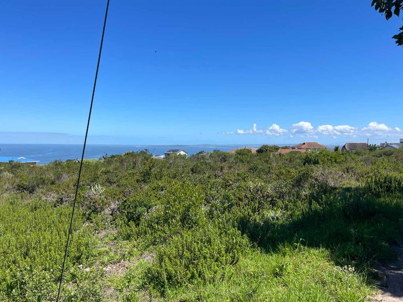 A scenic view overlooking a coastal landscape with native vegetation and distant residential properties under a clear blue sky.