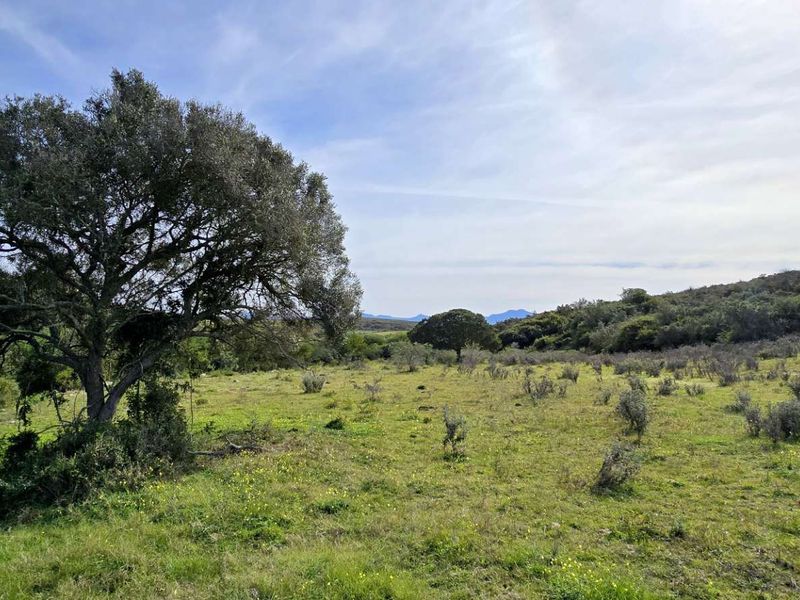 Prime 262ha Agricultural Farm for Sale Near Hartenbos - Photo 10