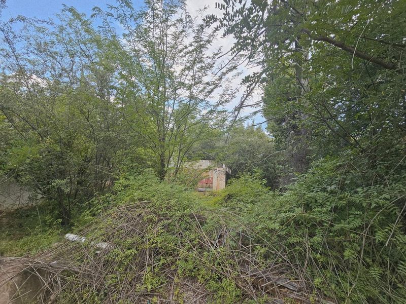 Prime Investment Opportunity: 64 Hectares of Potential on the Lesotho/RSA Border - Photo 10