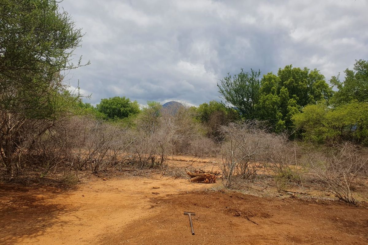 New, 4-Bedroom Family Home – to be constructed in Blyde Wildlife Estate - Photo 4
