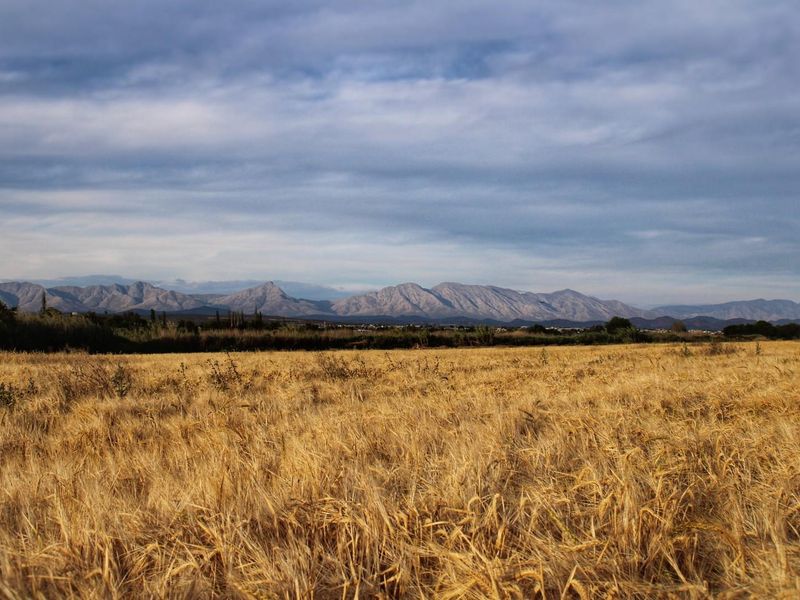 Wanted: Visionary Robust Investors/Developers!! - Photo 3