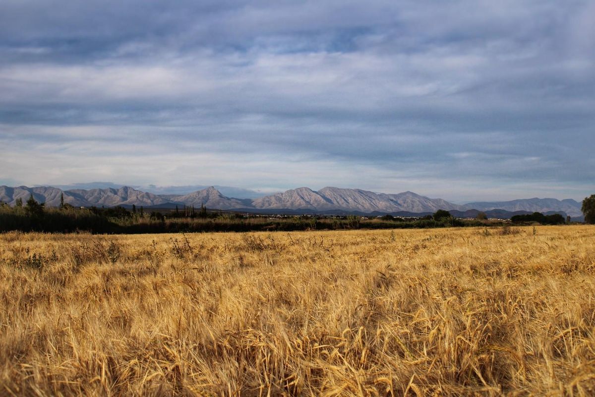 Wanted: Visionary Robust Investors/Developers!! - Photo 3