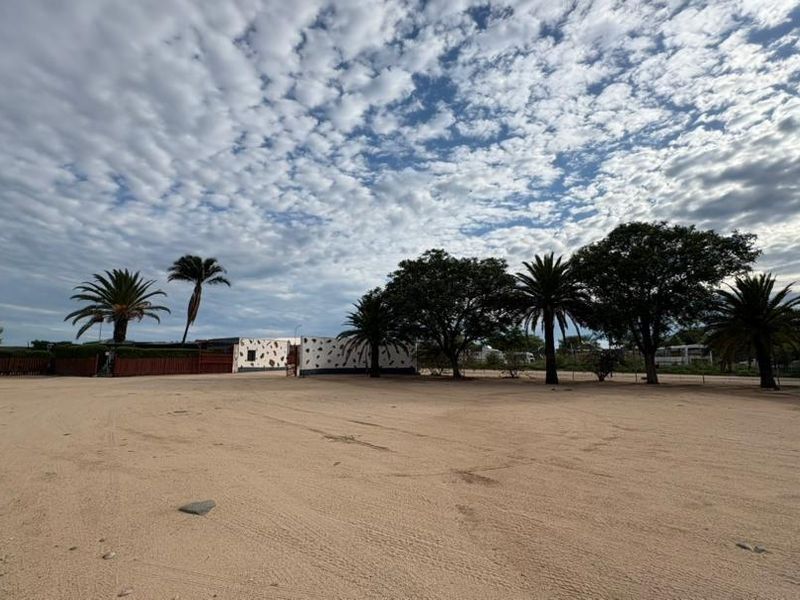A wide-angle view of a vacant commercial land plot featuring mature palm trees and perimeter fencing.