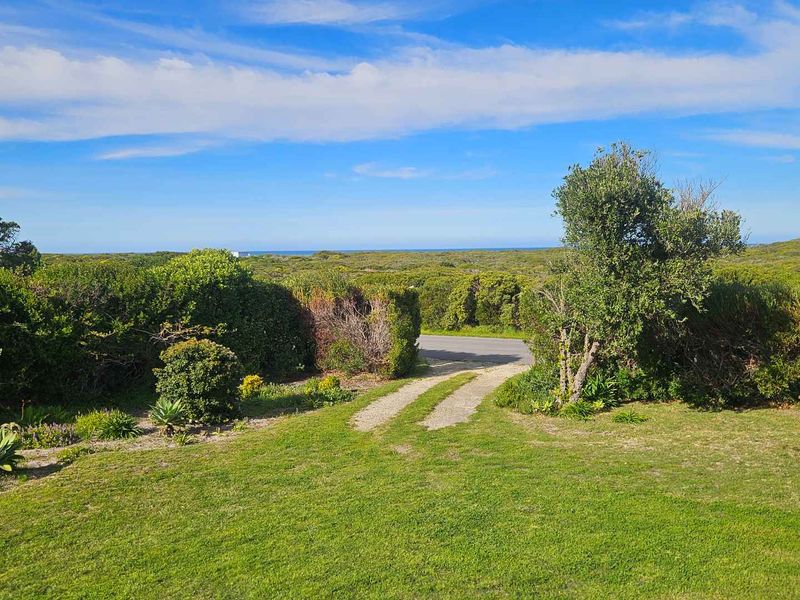 A scenic view overlooking a lush green garden and natural coastal landscape with a gravel driveway leading towards the horizon.