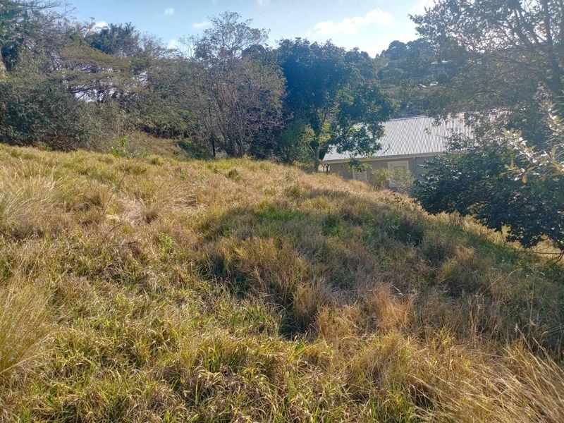Vacant Land with Approved Architectural Masterpiece - Photo 4