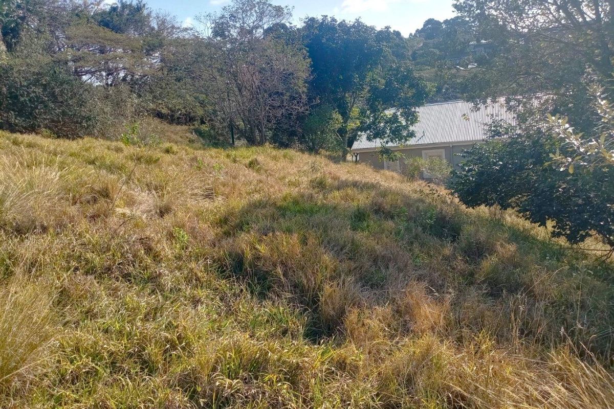 A view of a sloped, undeveloped residential plot featuring natural grass cover and mature trees.