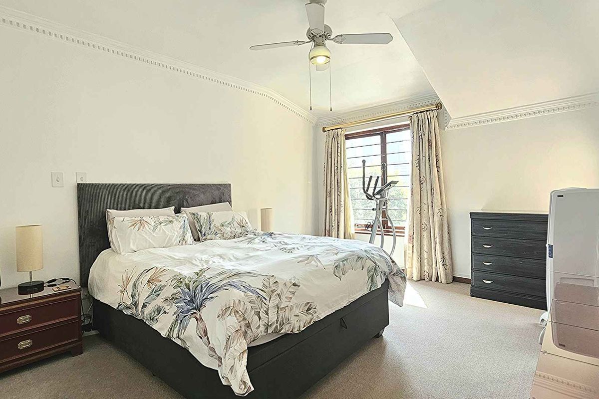 Spacious bedroom featuring neutral carpeting, decorative ceiling cornicing, and a ceiling fan, offering a comfortable and well-lit living space.