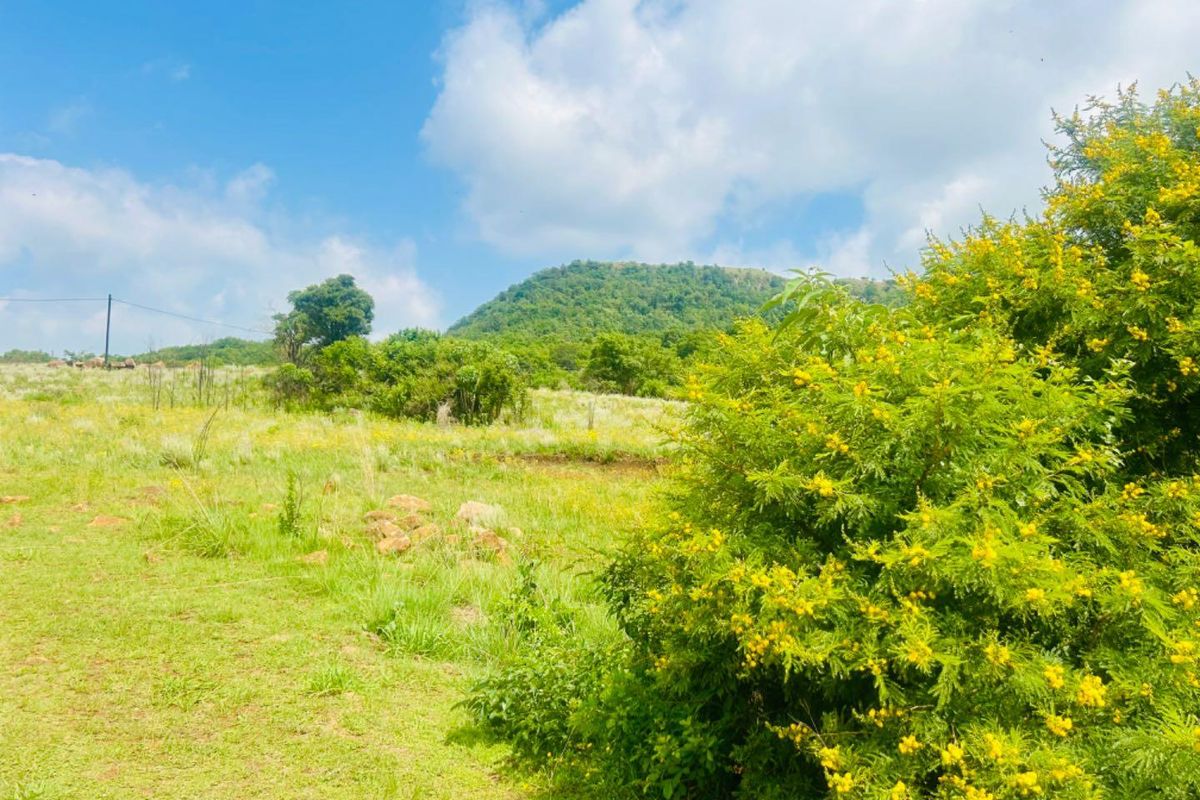 Vacant site for sale in Vryheid - Photo 5