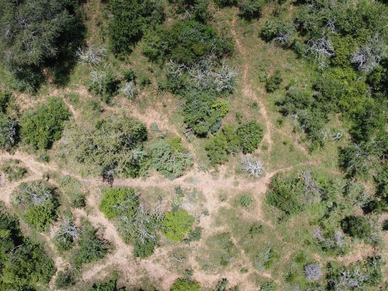 Vacant Land in MODITLO NATURE RESERVE - Photo 8