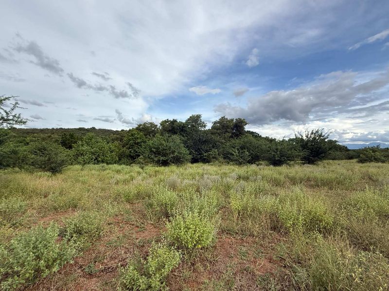 A view of the vacant residential land featuring natural vegetation, native grasses, and mature trees under a cloudy sky.