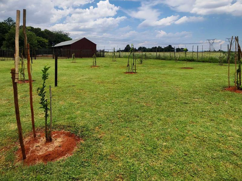 Business Opportunity with Country Living! - Photo 10