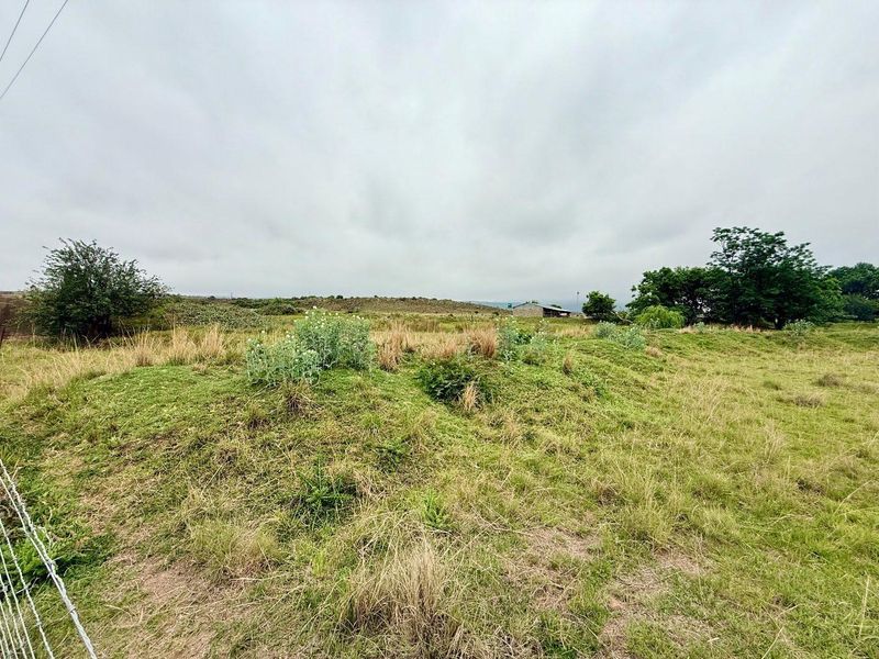 Smallholding for sale in Vryheid area - Photo 4