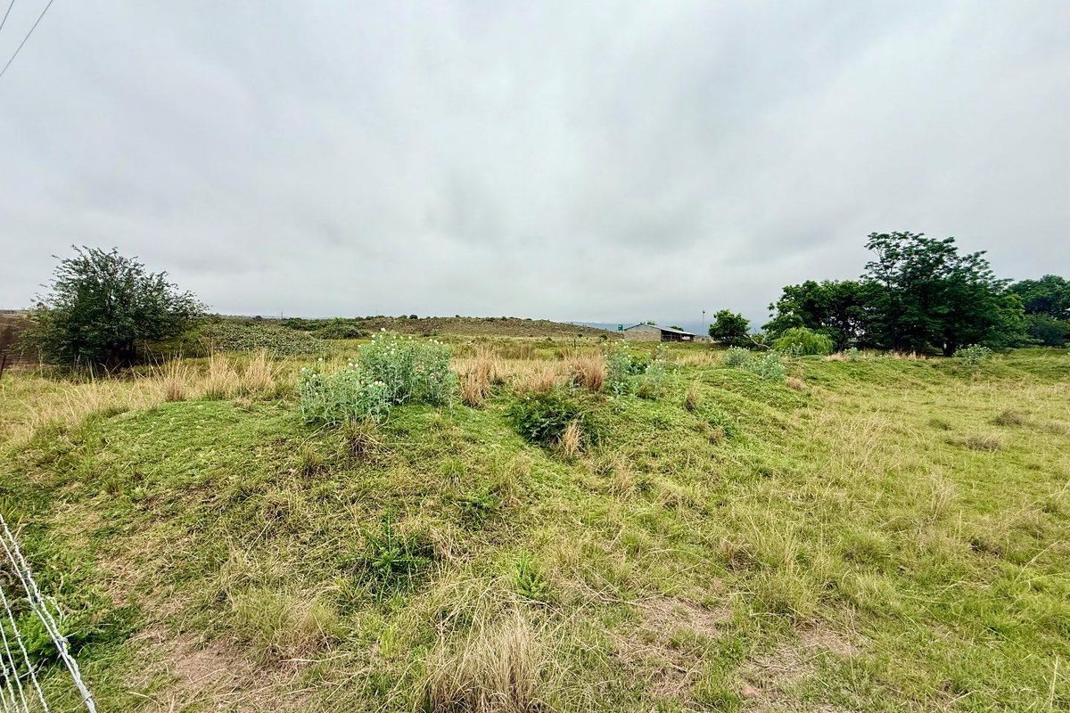 Smallholding for sale in Vryheid area - Photo 4