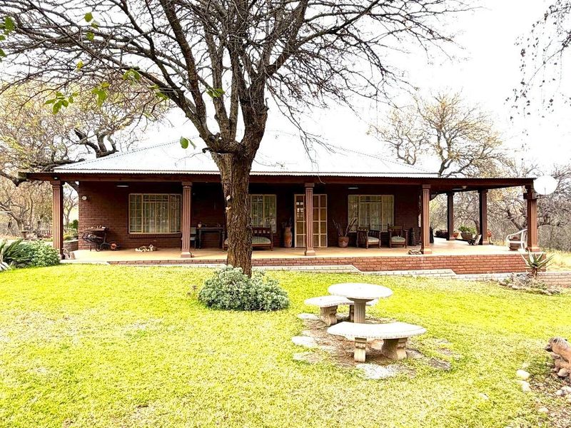 A charming single-story home featuring a spacious covered patio, brick exterior, and a metal roof, set within a mature, tree-lined garden.