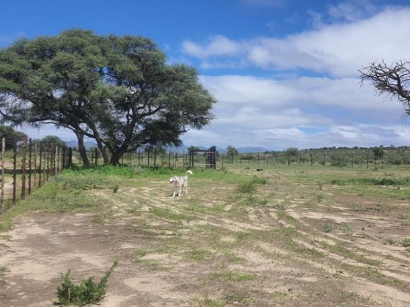 SMALLHOLDING FOR SALE NEAR WINDHOEK - Photo 8