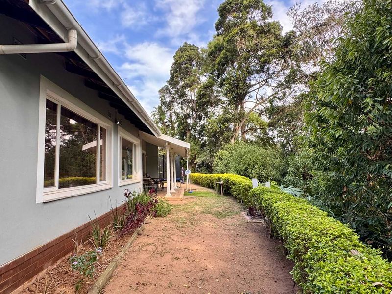 A Hidden Retreat in the Heart of Westville - Photo 7