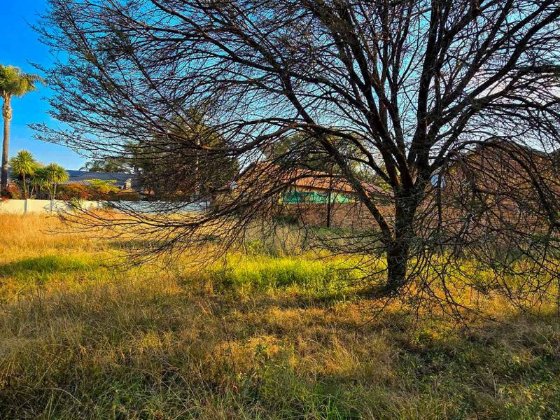 Ready to Build: Rare Dual-Dwelling Stand in Prestigious Pretoria East Suburb - Photo 3
