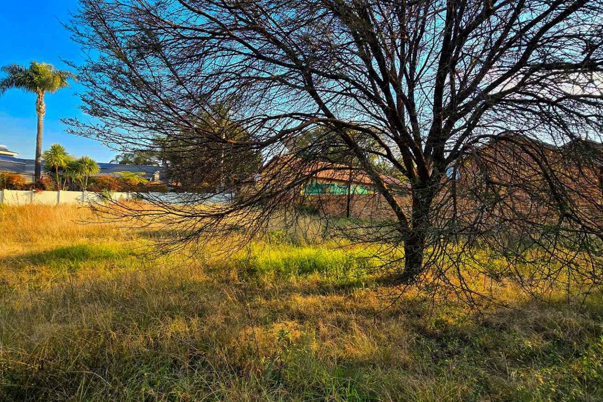 Ready to Build: Rare Dual-Dwelling Stand in Prestigious Pretoria East Suburb - Photo 3